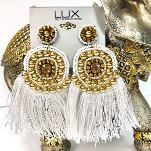 Lux Accessories Boho Earrings